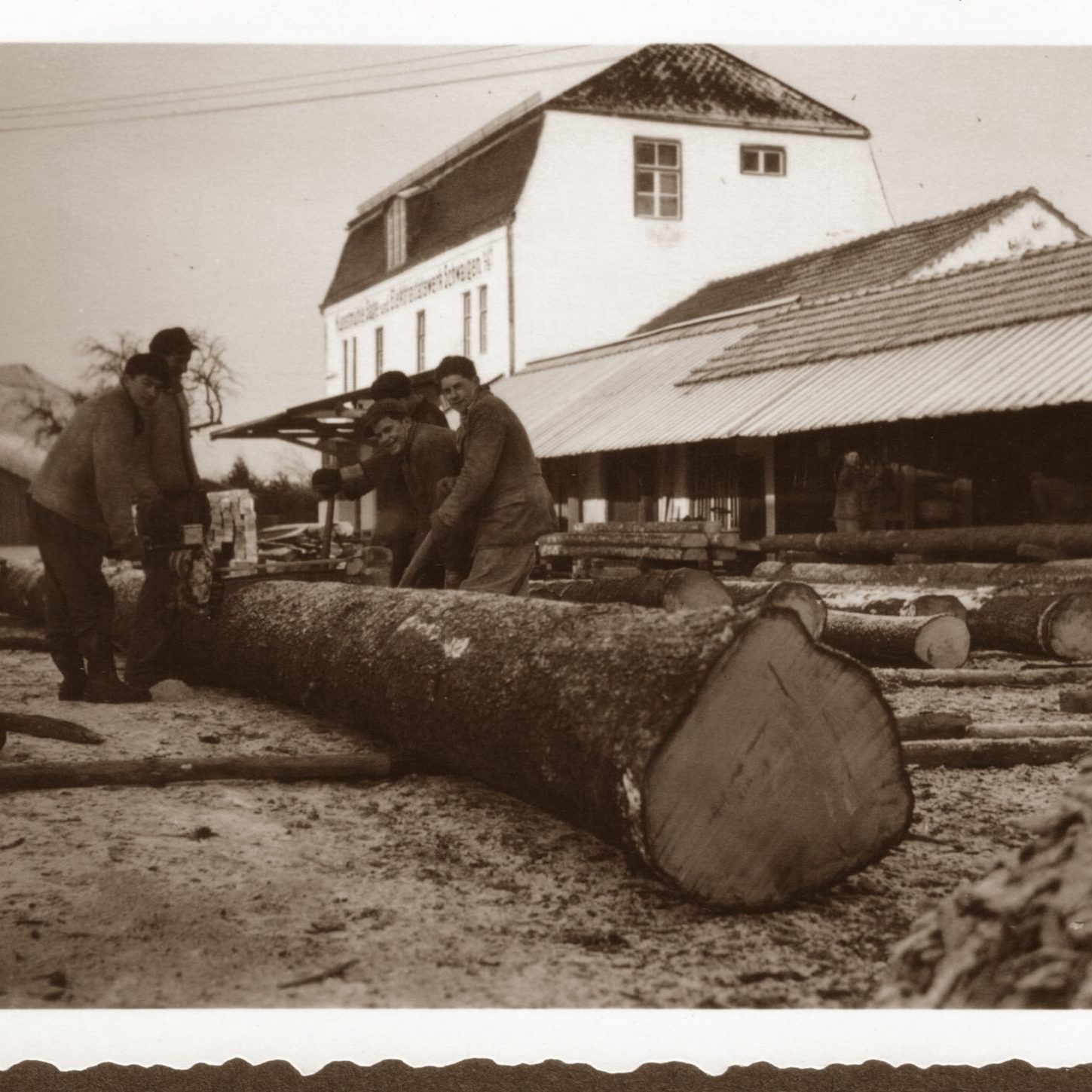 Arbeiter verarbeiten einen Baumstamm